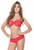 "Romantic Night" Red Visible Lace Bra Set - lacysouls